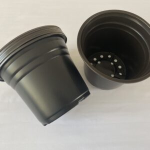 Set 20 unidades Termoformado Nº24 /EG240/Negros//Envió Incluido