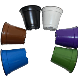 Set 80 unidades Termoformado Nº11 /T110//Envió Incluido