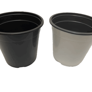 Set 100 unidades Termoformado Nº21 /T210//Envió Incluido